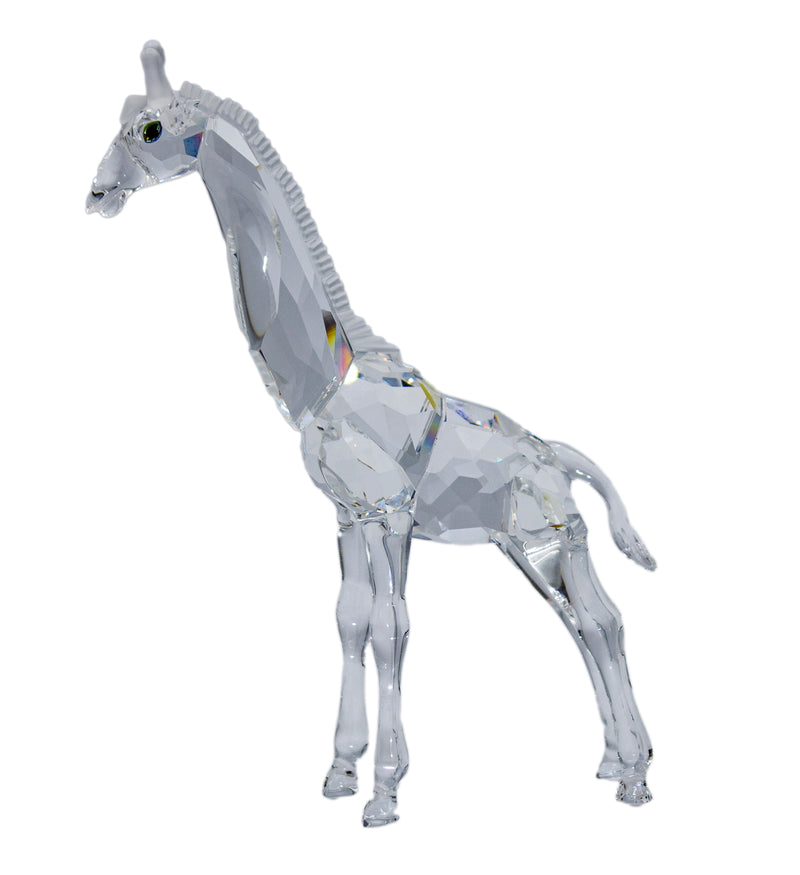Swarovski Figurine: 236717 Baby Giraffe